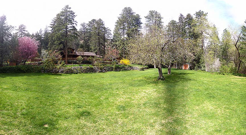 Forest Houses, March 2015